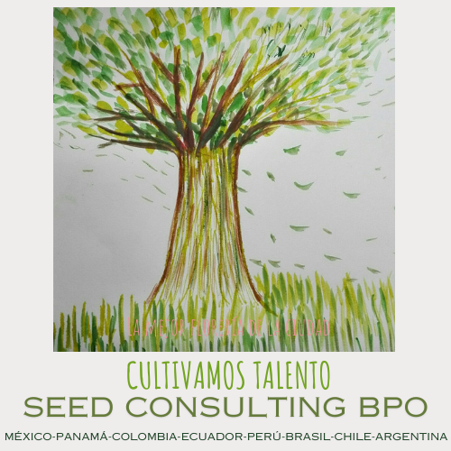 LOGO SEED CONSULTING CON SLOGAN